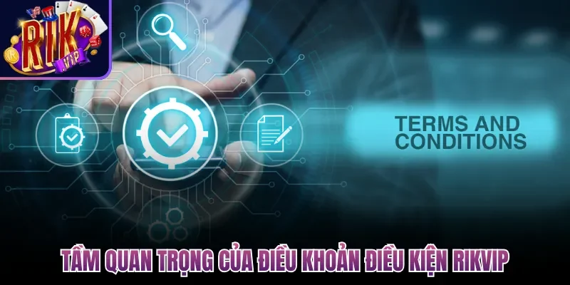 Tầm quan trọng của điều khoản điều kiện Rikvip