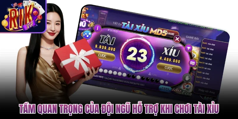 Tầm quan trọng của đội ngũ hỗ trợ khi chơi tài xỉu