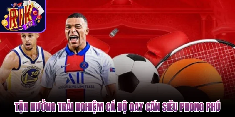 Tận hưởng trải nghiệm cá độ gay cấn siêu phong phú